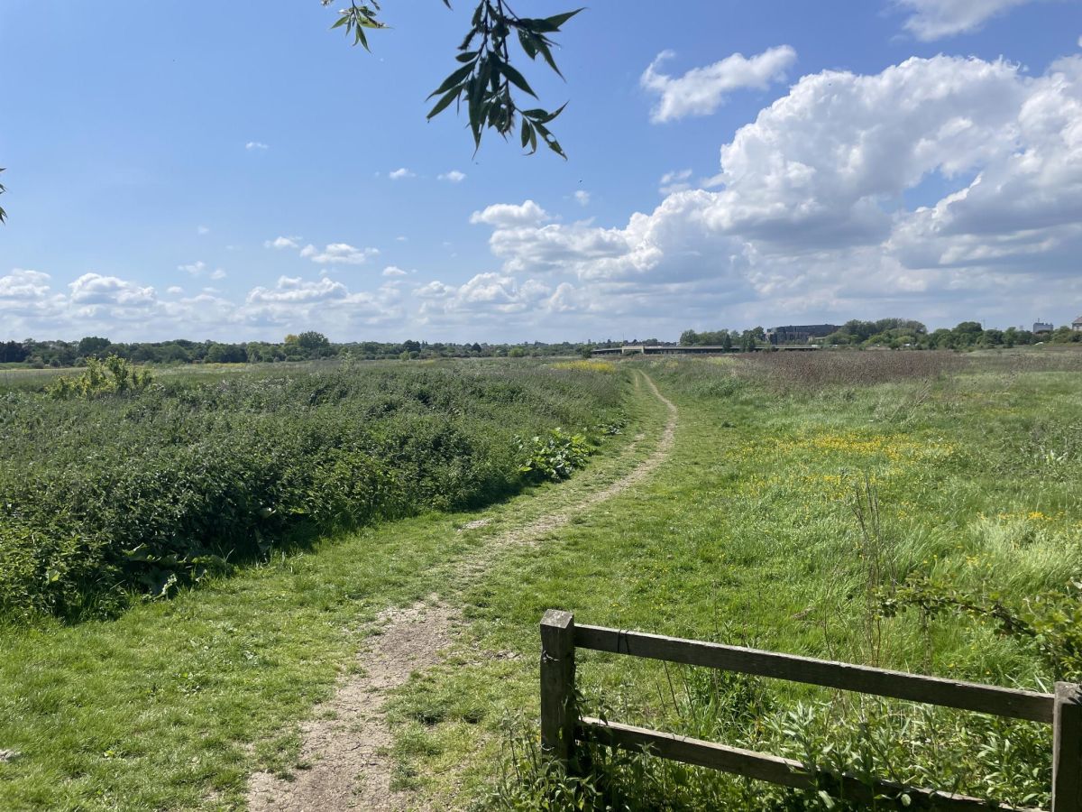 image 23